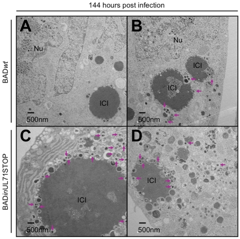 FIG 8 