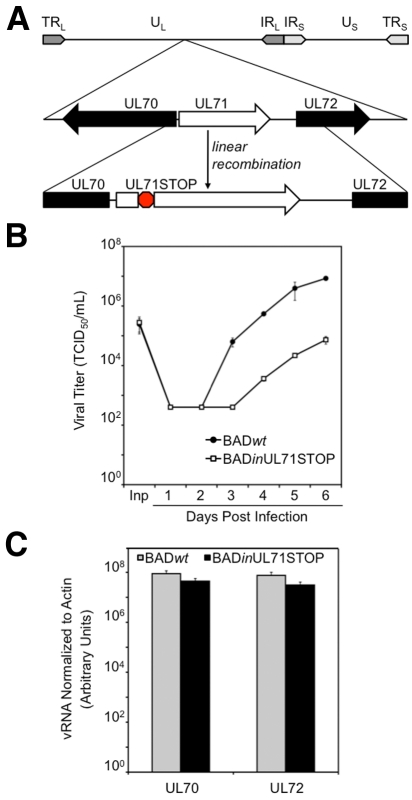 FIG 1 