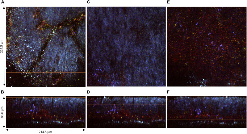 FIGURE 4