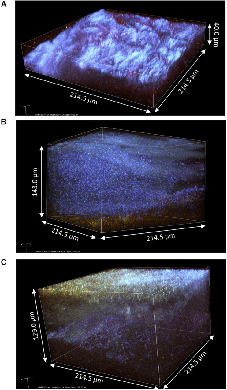 FIGURE 6