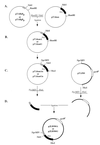 FIG. 1