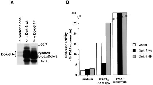 FIG. 8