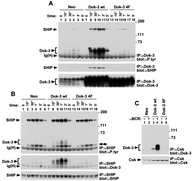 FIG. 6