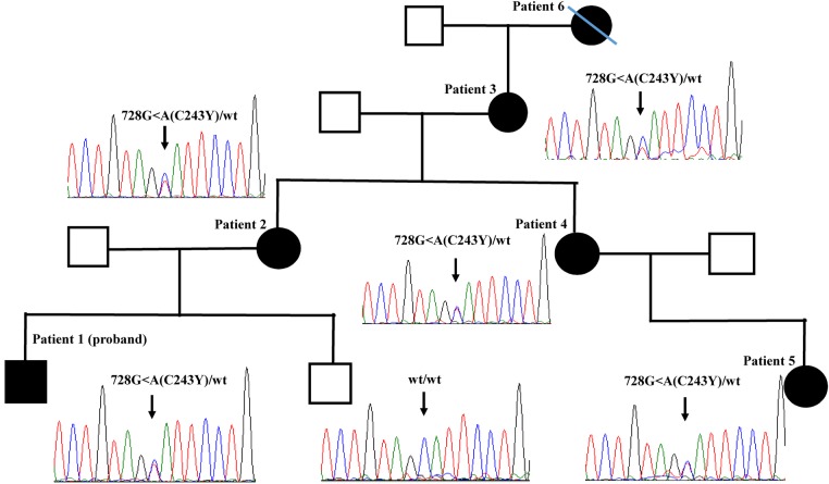 Figure 1