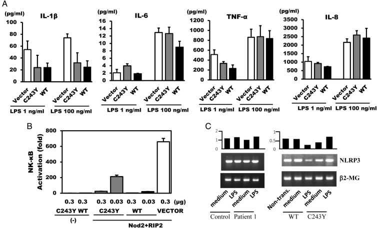 Figure 3