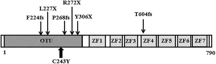 Figure 4