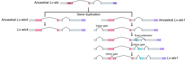 Figure 11.