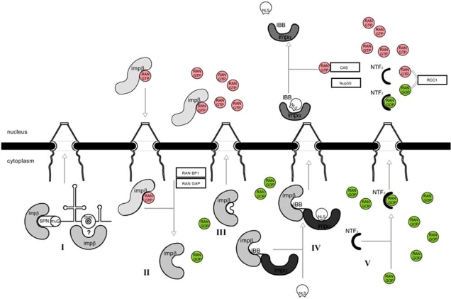 Fig. (2)