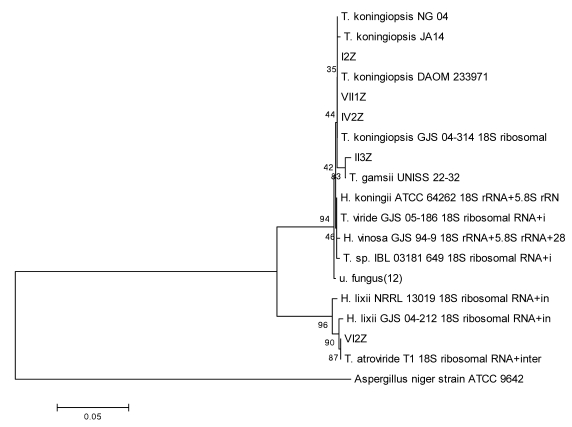 Fig 4