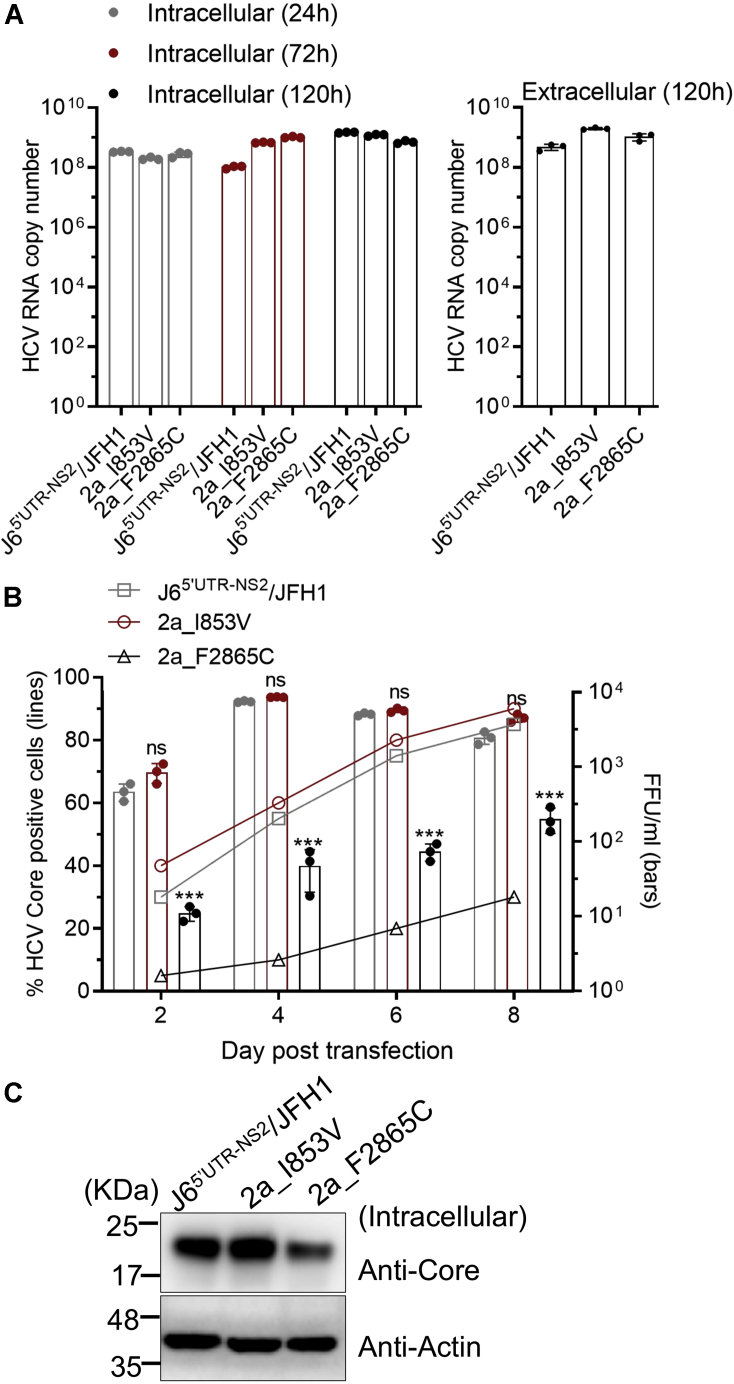 Figure 6