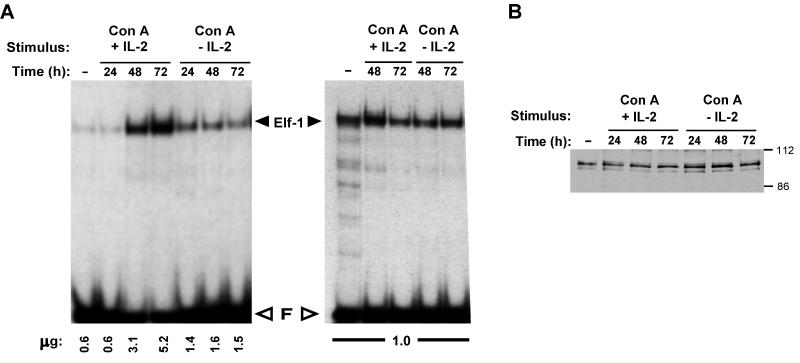 FIG. 5