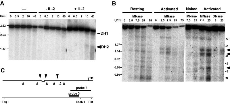 FIG. 7