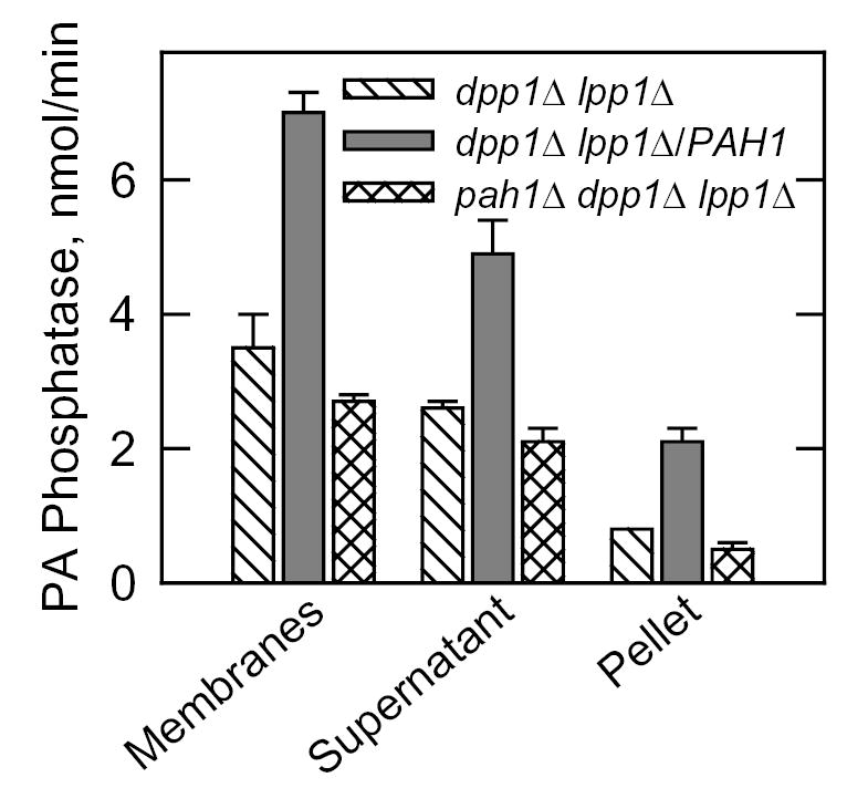 FIGURE 3