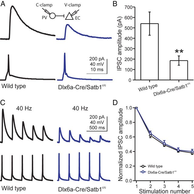 Figure 11.