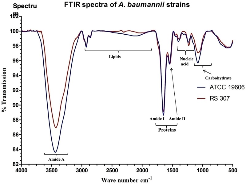 Fig 5