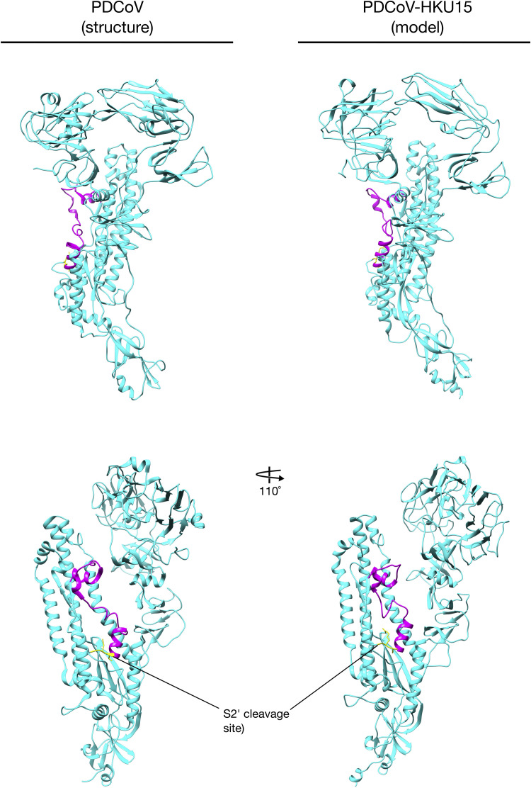 Fig. S1