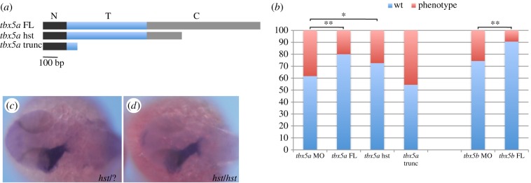 Figure 3.