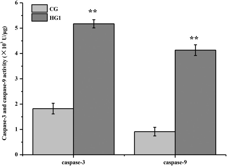 Fig. 8