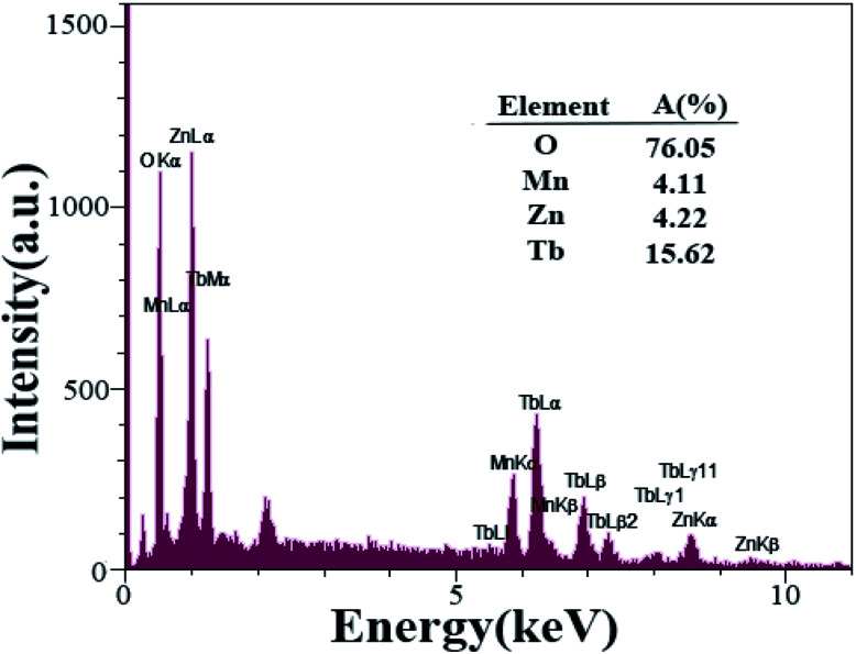 Fig. 10