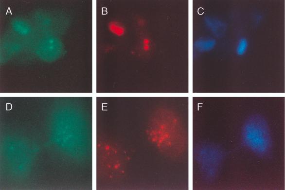 FIG. 7