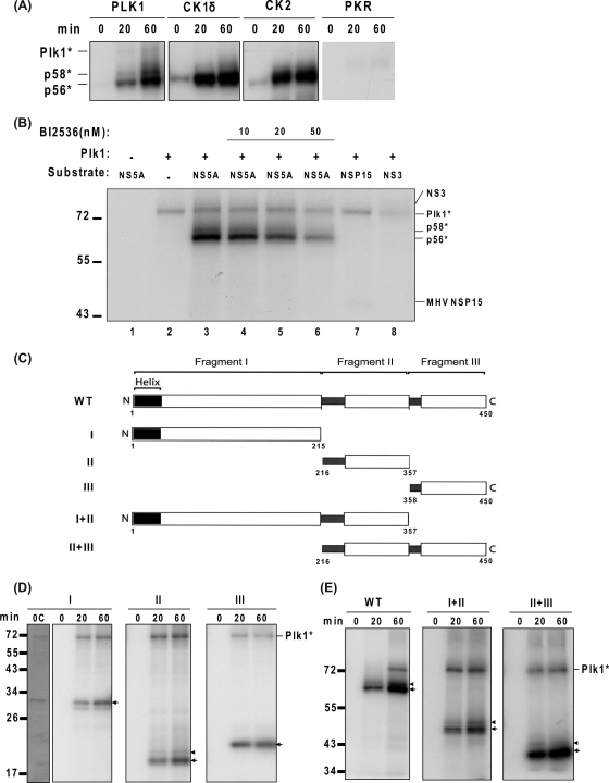 FIG. 5.