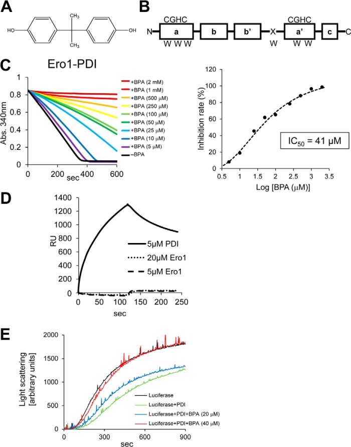 FIGURE 1.