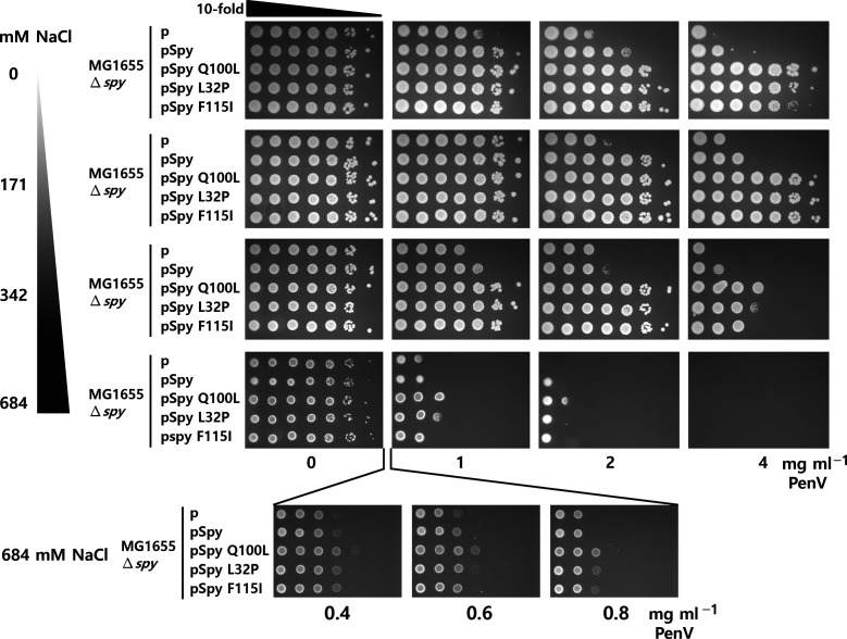 Fig. 3.