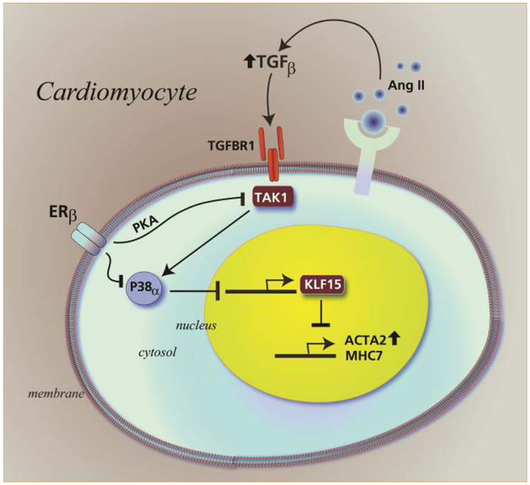 Fig 7-