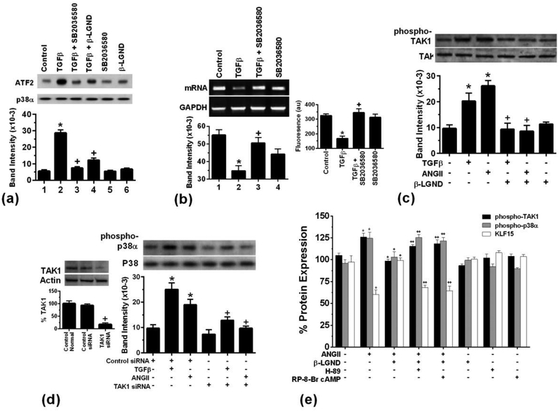 Fig 2.