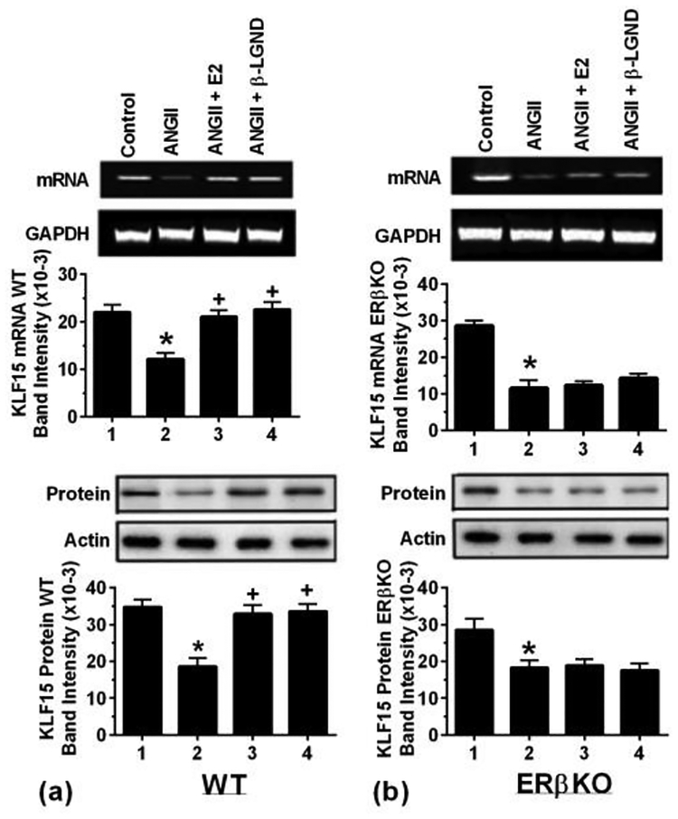 Fig 6-