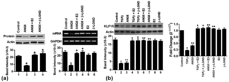 Fig 1.