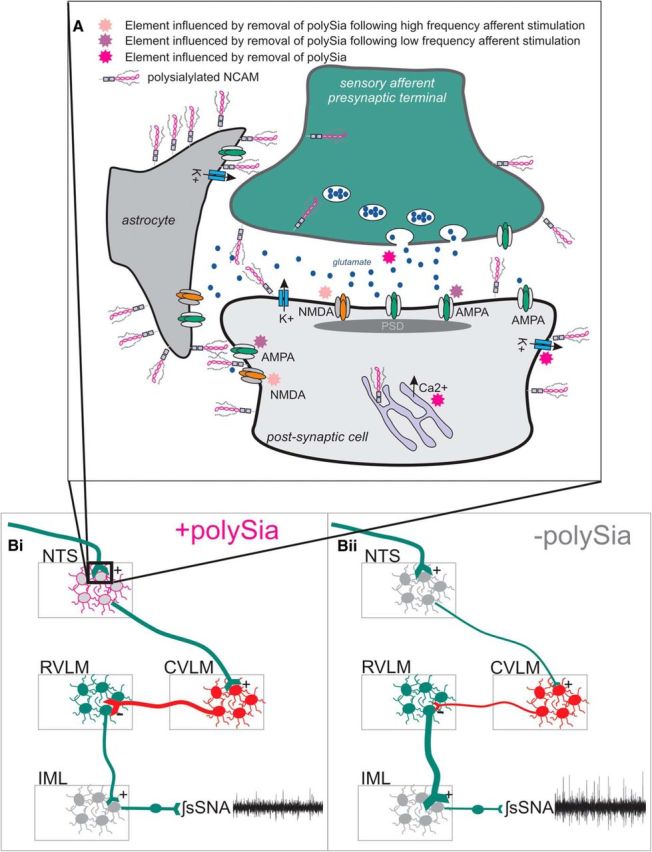 Figure 10.