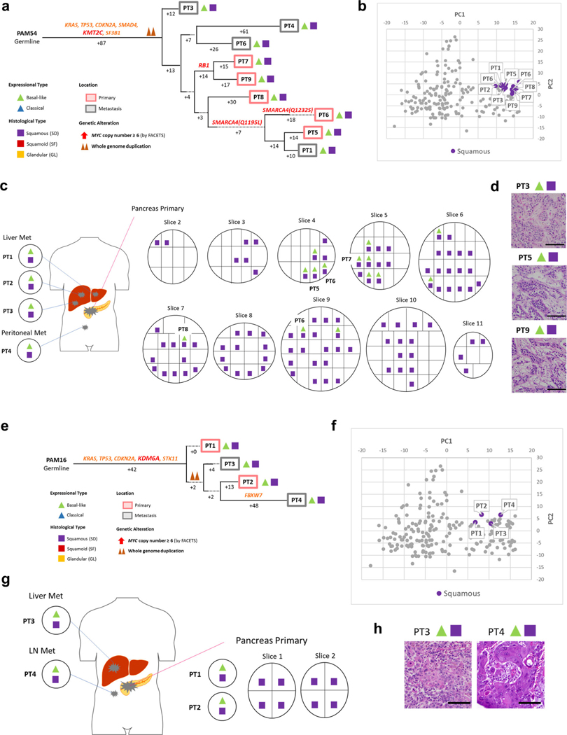 Extended Data Fig. 5 |