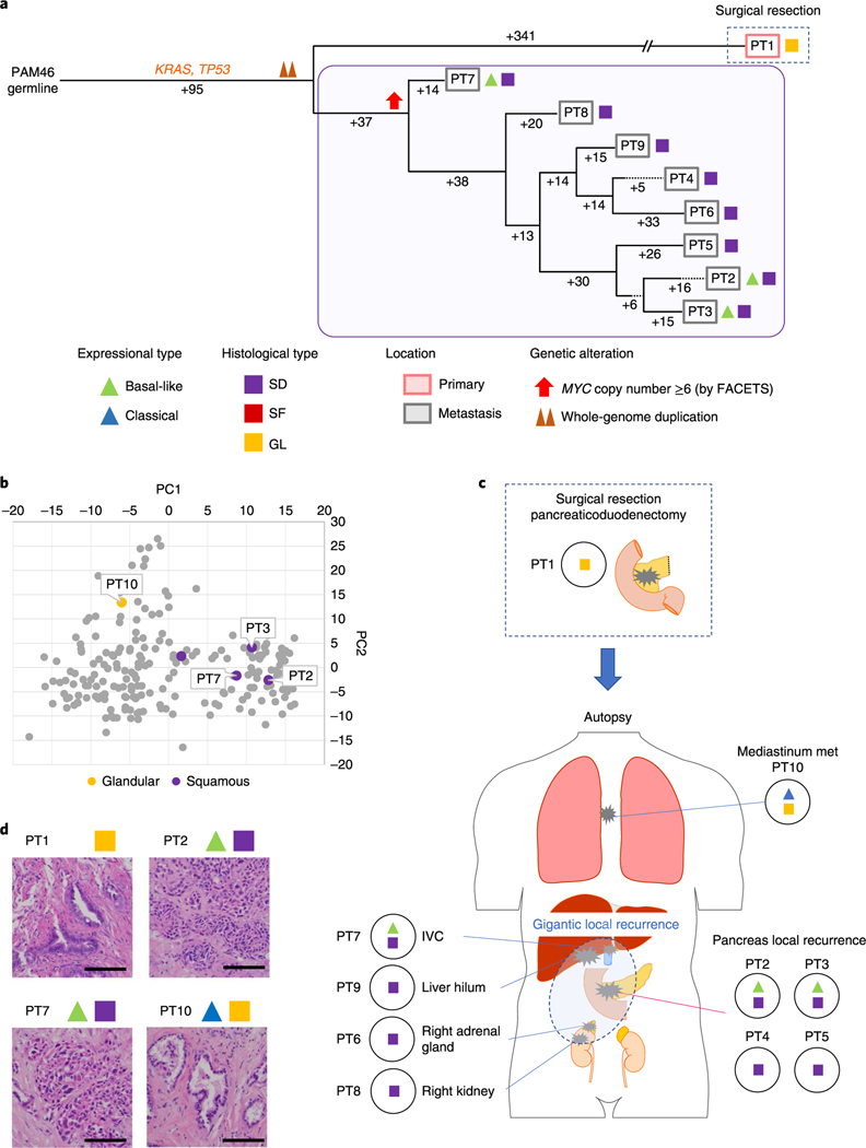 Fig. 7 |