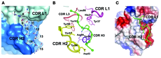 Figure 9