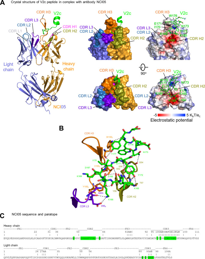 FIG 2