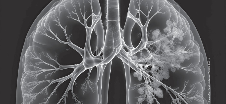 graphic file with name 11654_2023_499_Figz_HTML.jpg