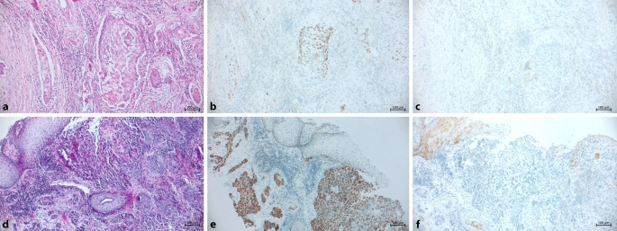 graphic file with name 11654_2023_499_Fig3_HTML.jpg