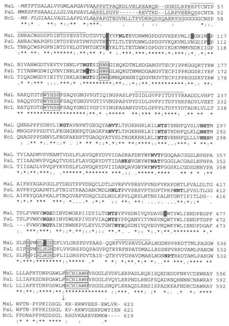 FIG. 1.