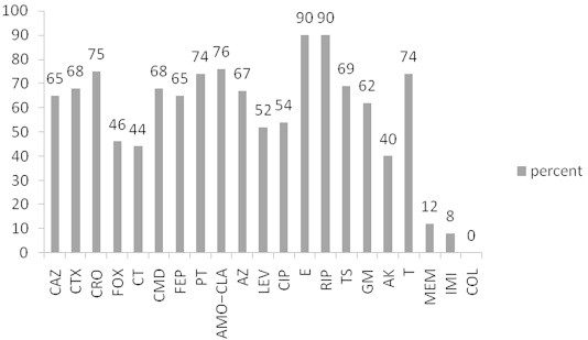 Figure 1