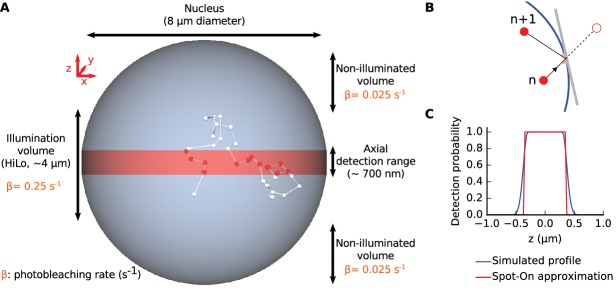 Figure 3—figure supplement 1.