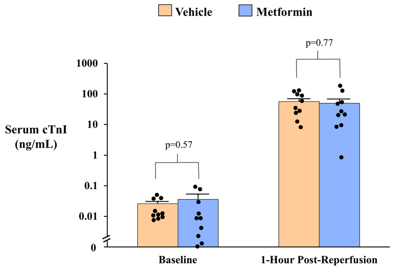 Figure 5: