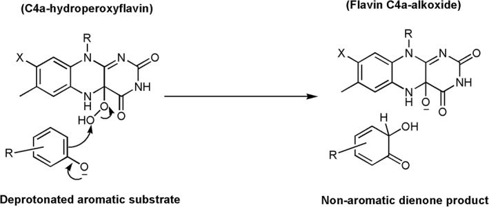 Figure 15