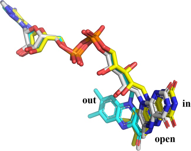 Figure 7