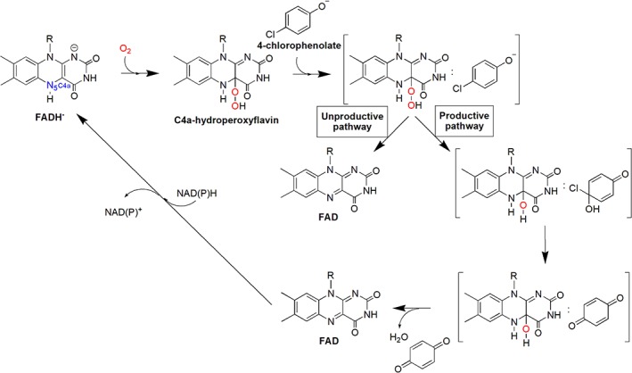 Figure 13