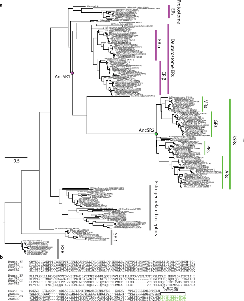 Extended Data Figure 1: