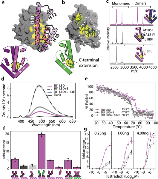 Figure 2: