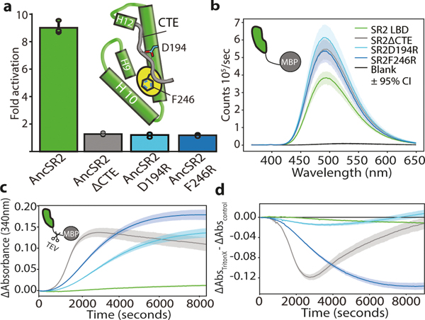 Figure 3: