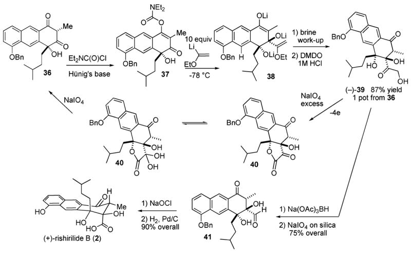 Scheme 5