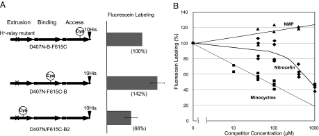 Fig. 6.